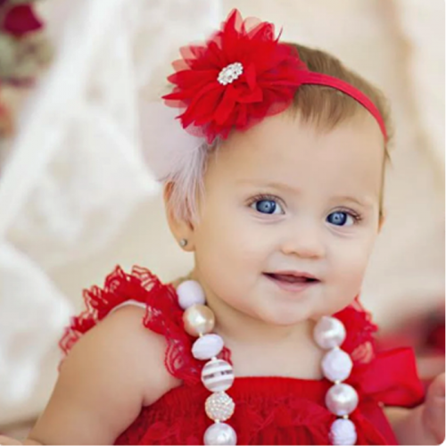 8729_bow red purle